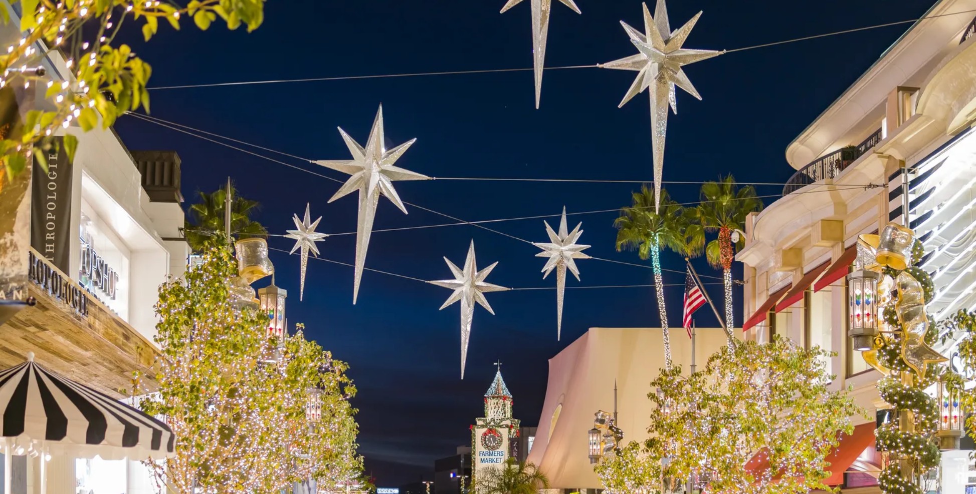 2024 christmas grove