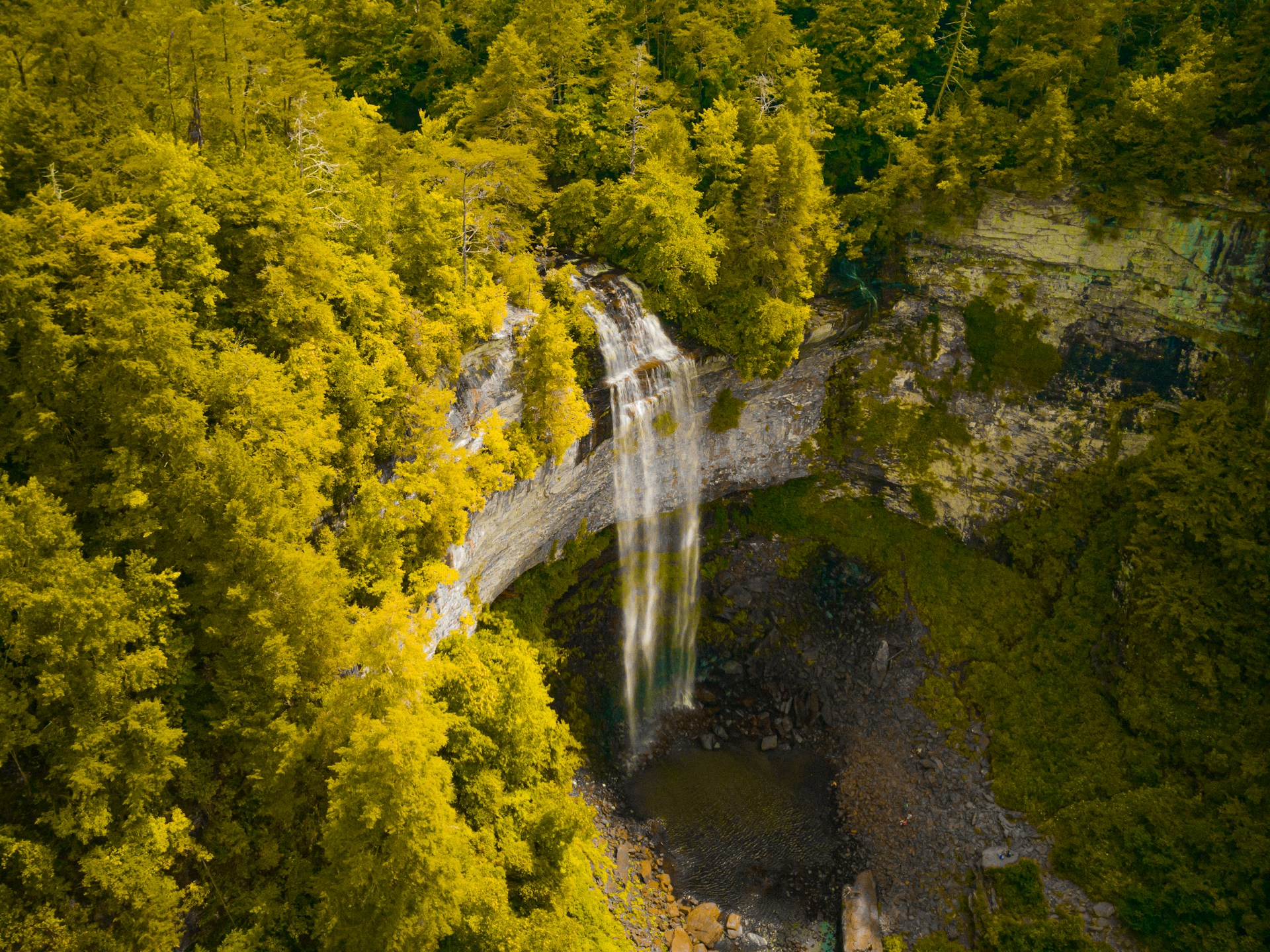 Fall creek Falls
