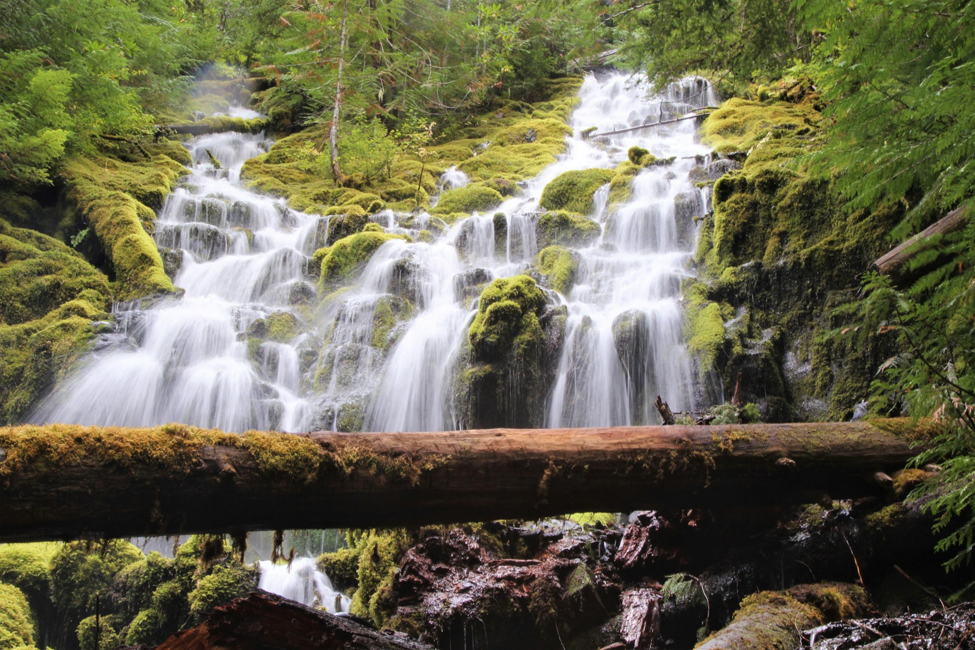 Proxy Falls 1