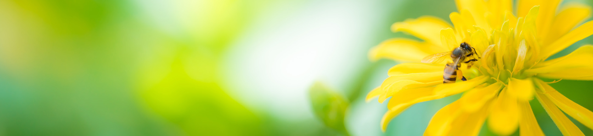 65f0063e2a6f0 bp cover image