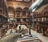 Bishop Museum