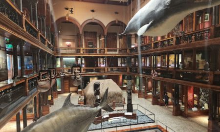Bishop Museum