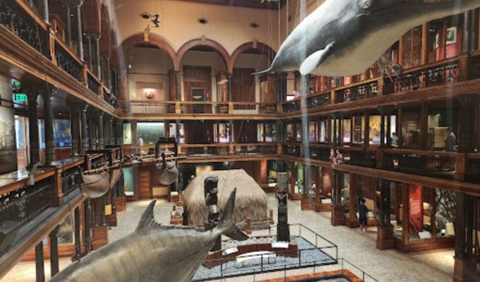 Bishop Museum