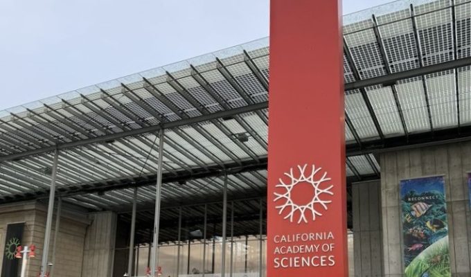 California Academy of Science - SF