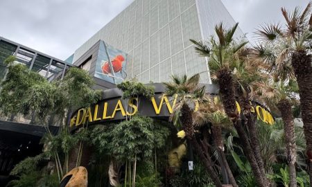 Dallas World Aquarium 3 - Dallas