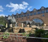Fernbank Museum of Natural History - Atlanta