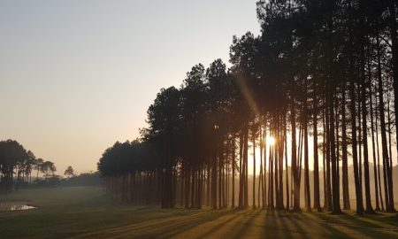 Golden Lake Golf