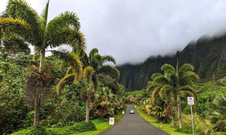 Hoʻomaluhia Botanical Garden