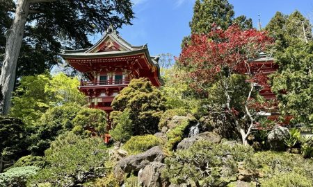 Japanese Tea Garden - SF