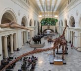 Museum Campus