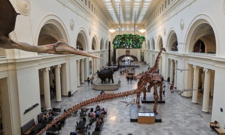 Museum Campus