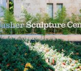 Nasher Sculpture Center _ Dallas