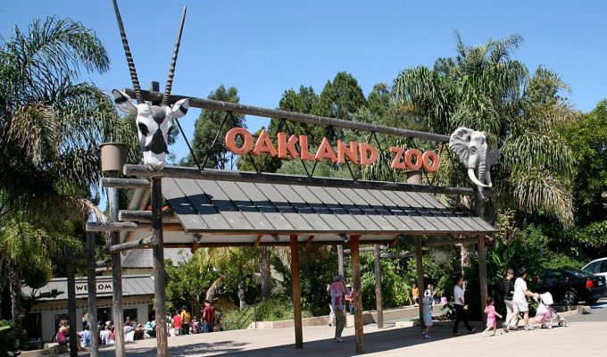 Oakland Zoo