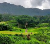 Royal Hawaiian Golf Club