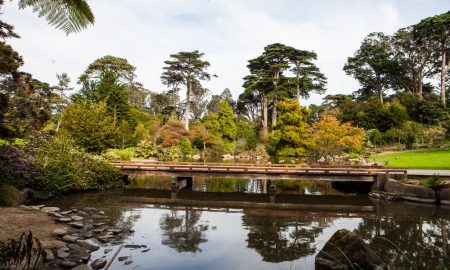 San Francisco Botanical Graden - SF