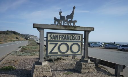 San francisco Zoo
