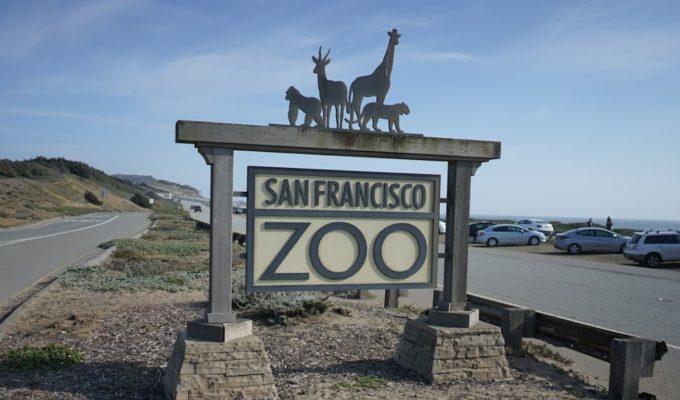 San francisco Zoo