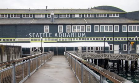 Seattle Aquarium
