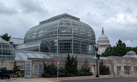 United States Botanic Garden - WD