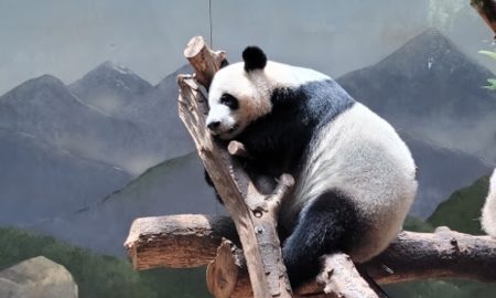 Zoo Atlanta