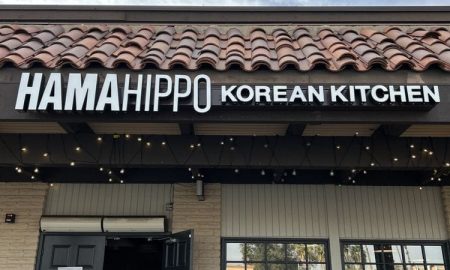 hamahippo