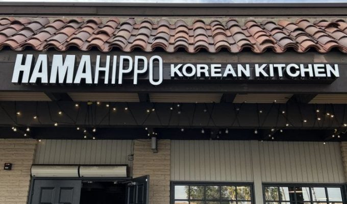 hamahippo