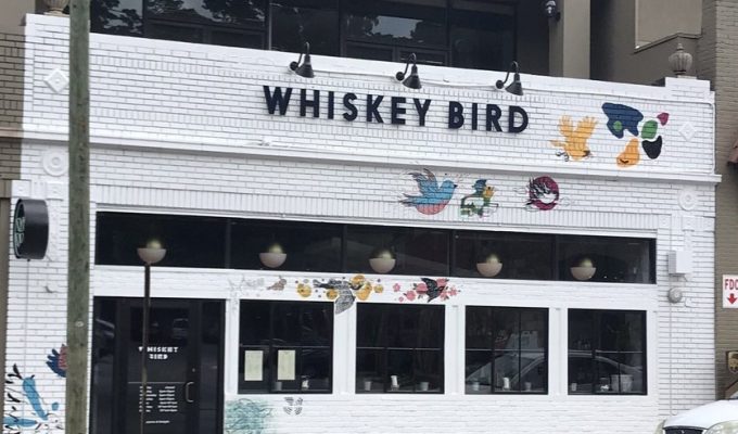 whisky bird